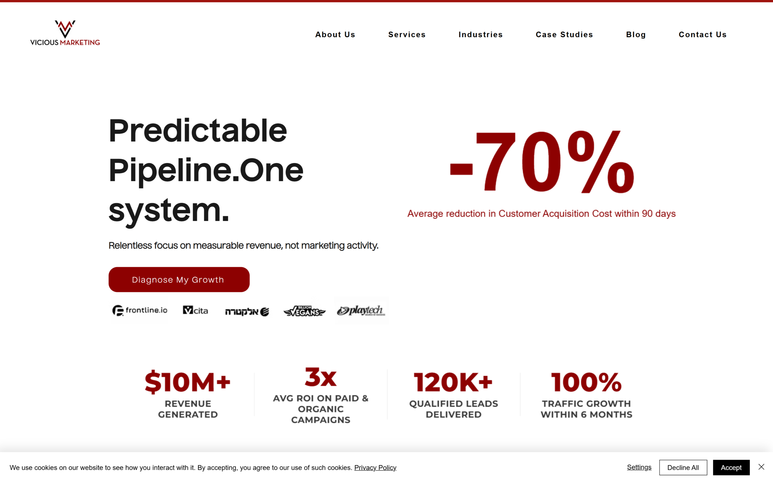 Vicious Marketing website built on Wix by SN Web Works